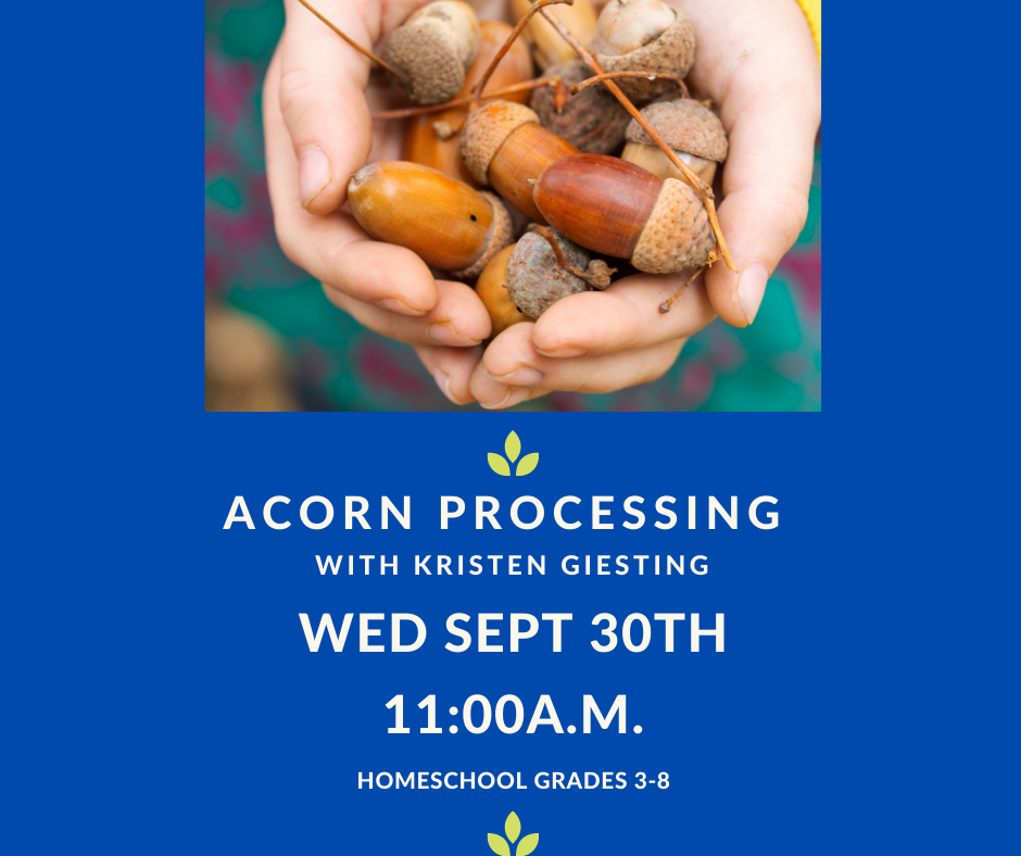 Acorn Processing Icon – Batesville Memorial Public Library