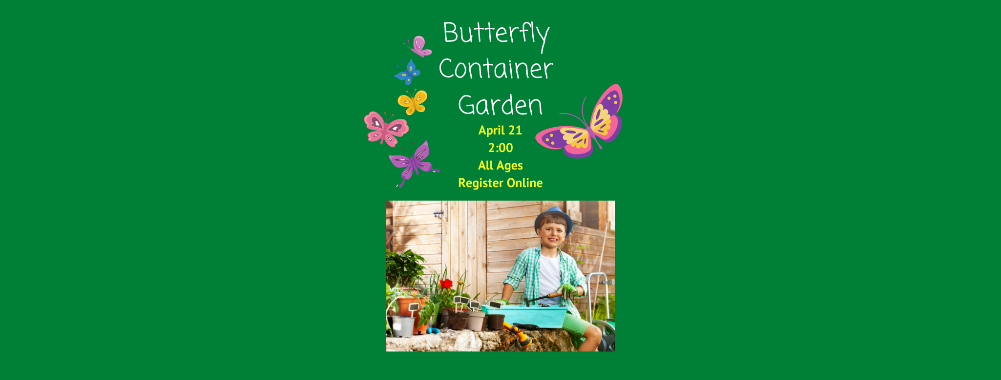 Copy Of Butterfly Container Garden Batesville Memorial Public Library